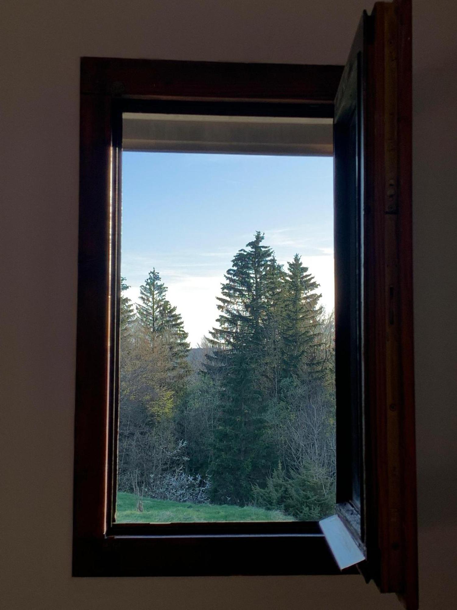 Chaleureux Avec Balcon Au Coeur Des Rousses Les Rousses